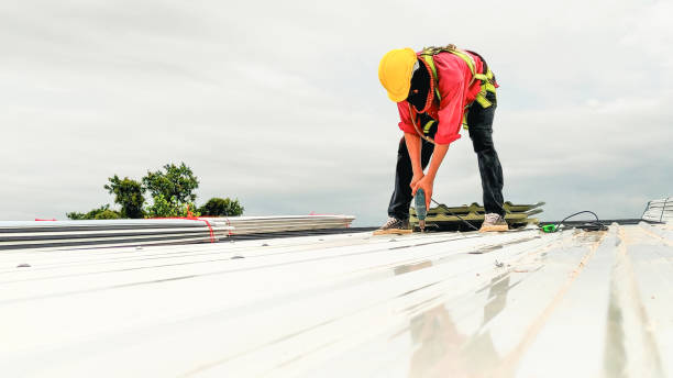 Sheet Metal Roofing in Romney, WV