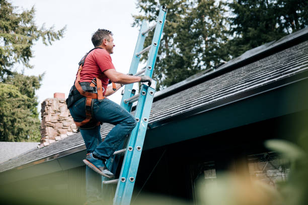 Best Roof Coating and Sealing  in Romney, WV